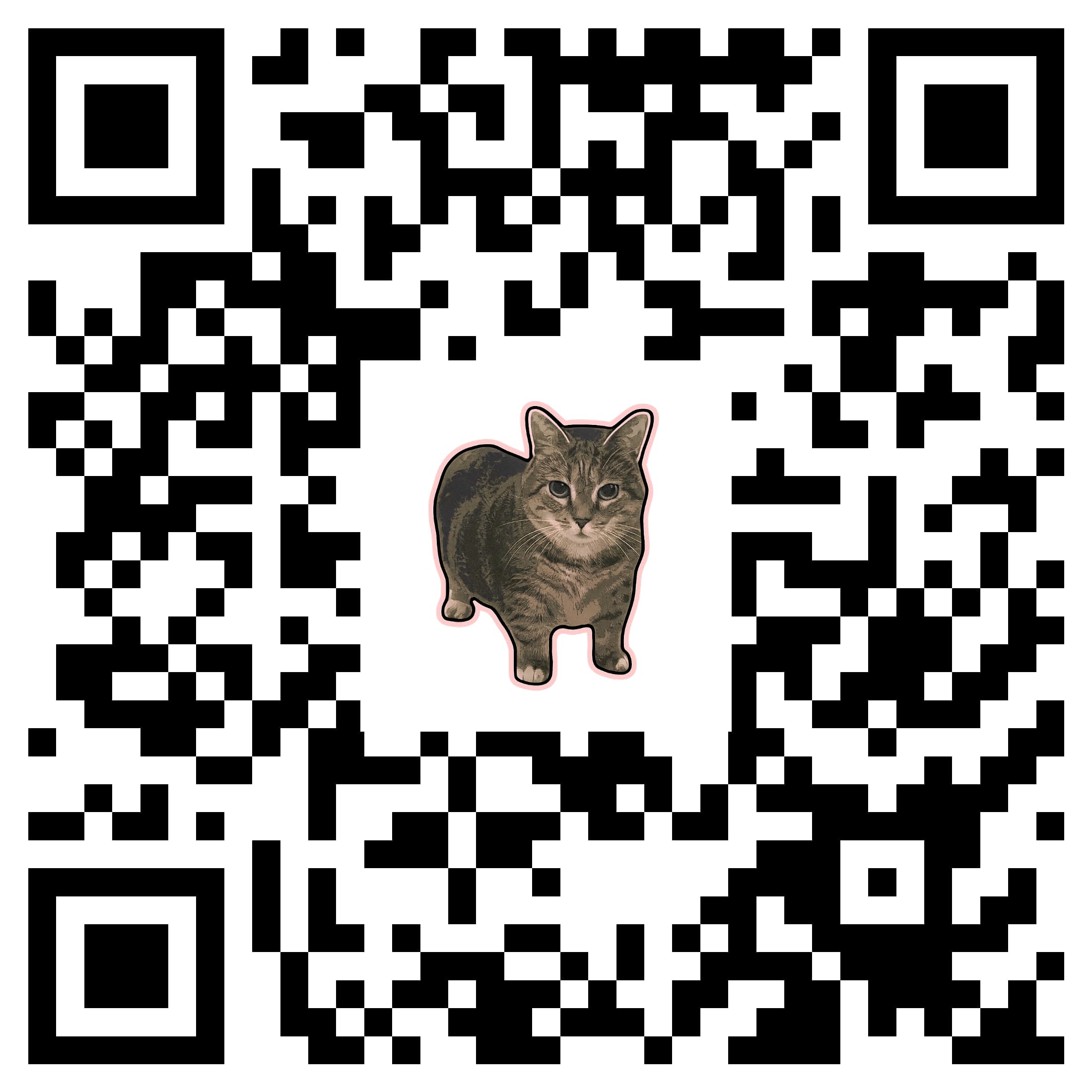 QR code made without Qurbo: the cat image is pasted over a standard code