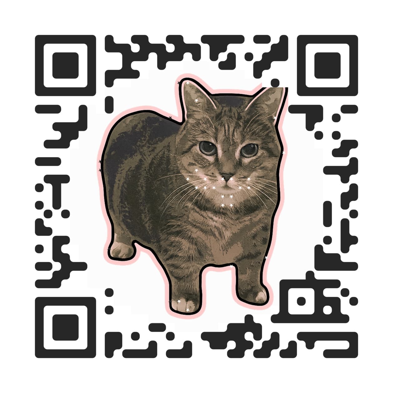 Qurbo QR: the cat artwork itself is the code